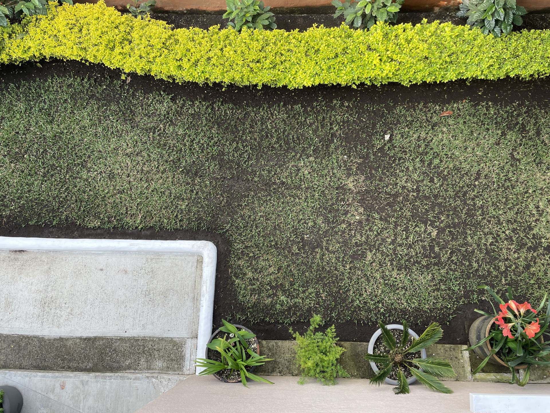 Planificación de Jardines
